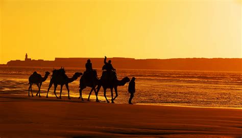 Morocco's 10 best beaches - Lonely Planet