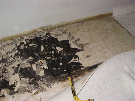 Removing Black Adhesive From Concrete Floor – Flooring Blog