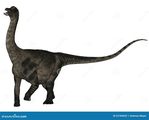 Antarctosaurus Dinosaurio D Stock De Ilustraci N Ilustraci N De