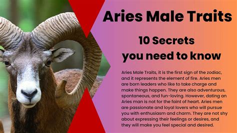 Aries Traits Male You Need To Know About The Secrets Of Aries Men By