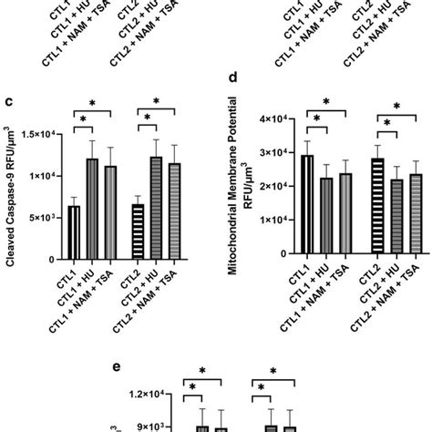 Rnr Inhibition Recapitulates The Phenotype Of Pnp Deficiency In Healthy