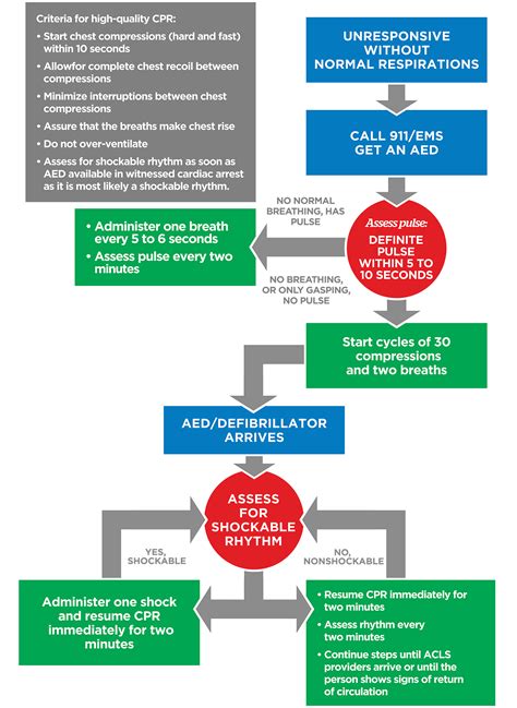 Adult Basic Life Support Algorithm Bls Online Handbook