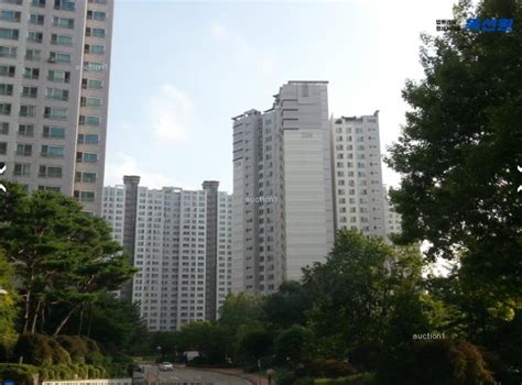 용인시 아파트 경매 용인시 기흥구 공세동 탑실마을 대주 피오레 54평형 아파트 경매 공세동 탑실마을 대주 피오레 2단지 아파트