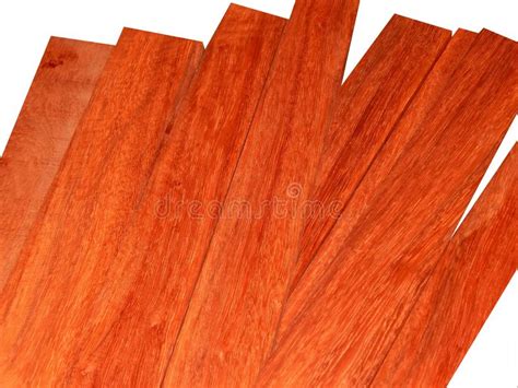 Red Tree Paduk. Material for the Manufacture of Furniture and Interior ...
