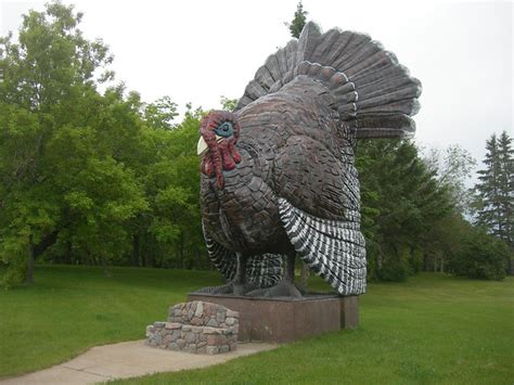 Worlds Largest Turkey Flickr Photo Sharing