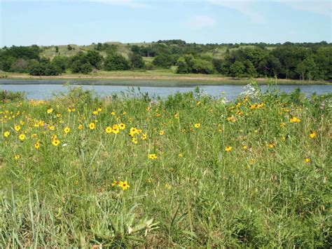 3672 Acres High Fence Hunting Farm And Cattle Ranch For Sale In