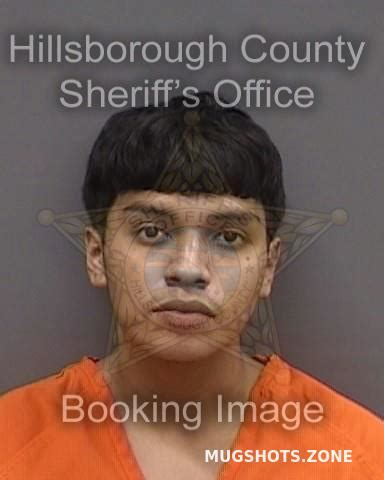 GONZALEZ CARLOS 07 29 2023 Hillsborough County Mugshots Zone