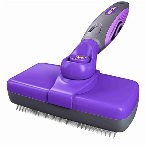 The 10 Best Cat Brushes Of 2023 Vet Recommended Pets Leaf