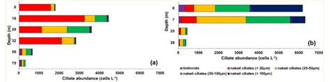 Vertical Distributions Of Tintinnid Abundances And Naked Ciliate