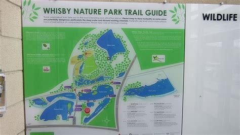 Whisby Nature Park Lincoln 2020 All You Need To Know Before You Go