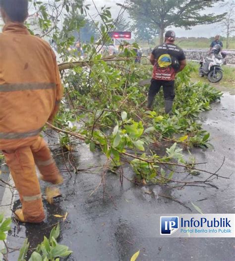 Infopublik Trc Bpbd Kota Palangka Raya Kembali Evakuasi Pohon Tumbang