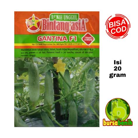 Jual Benih Timun Lalap Tahan Virus Gantina F Isi Gram Bibit Timun