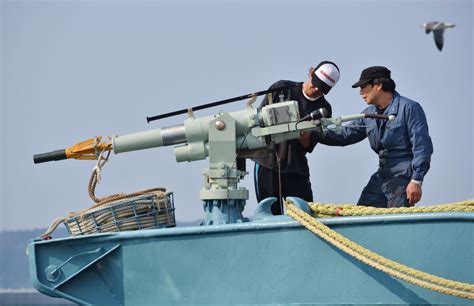 Experts Concerned By Japan S Talk Of Scientific Whaling Nbc News