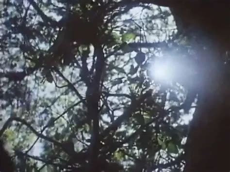 Summer Rose Porn Videos 2025 Porn Star Sex Scenes XHamster