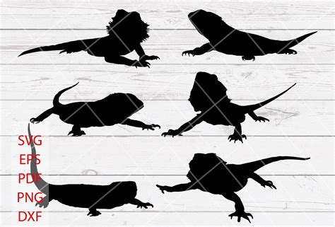 Bearded Dragon Silhouettes Vector File Dxf Svg Pdf Png Eps Etsy