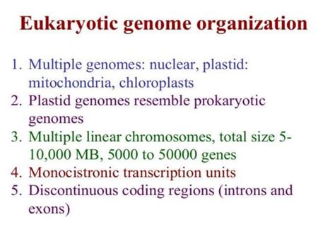 Ppt On Microbial Genome Ppt