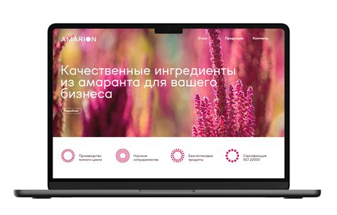 Зонтичный бренд Amarion: услуги брендинга и нейминга, разработка ...
