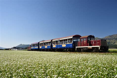 南阿蘇鉄道｜南阿蘇鉄道株式会社の公式サイト。時刻表や運賃案内からトロッコ列車の紹介沿線観光案内まで満載。