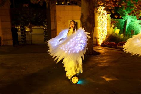 Las fotos del espectáculo de las Luces de la Concepción del Jardín Botánico