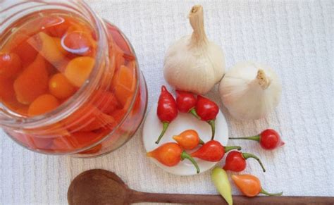 9 receitas de conserva de pimenta biquinho para refeições mais saborosas