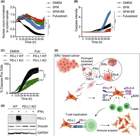 Estrogen Signaling Inhibition Limits T‐cell‐mediated Killing Of Mcf7