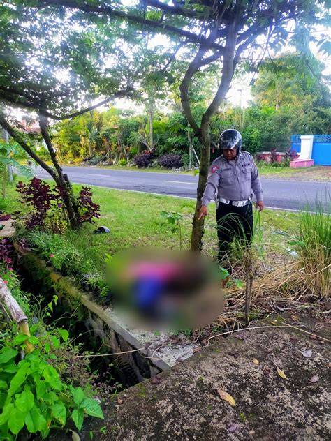 Pejalan Kaki Jadi Korban Tabrak Lari Di Desa Kaligondo Banyuwangi Hits