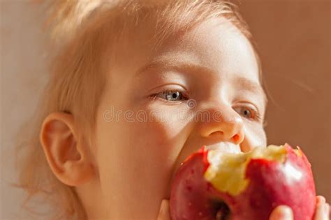 Niño Que Come La Manzana Roja Imagen de archivo Imagen de eating