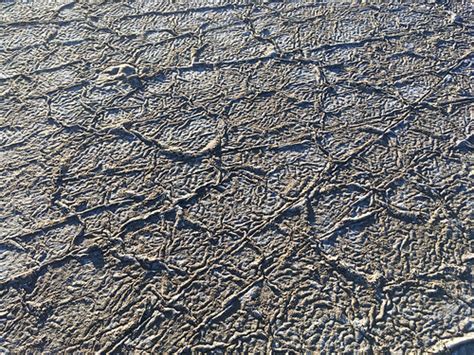 Wrinkled Valley Surface The Surface Of Cottonball Marsh Ha Flickr