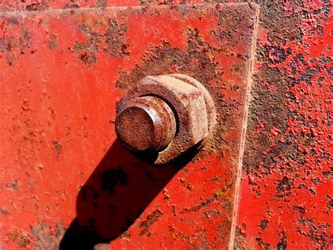 Old Rusty Screw Free Stock Photo - Public Domain Pictures
