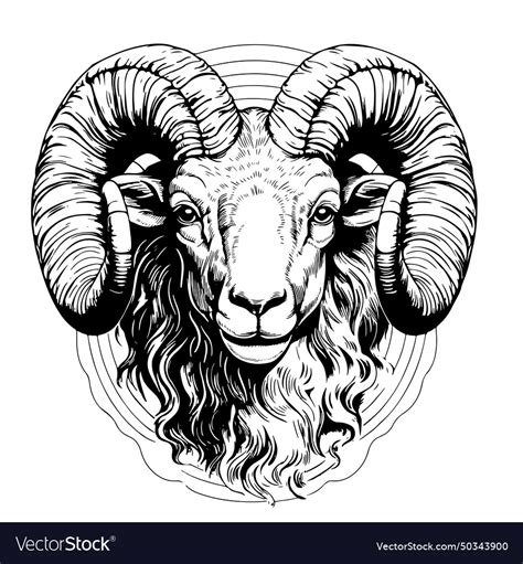 Mountain Sheep Sketchy Black And White Royalty Free Vector