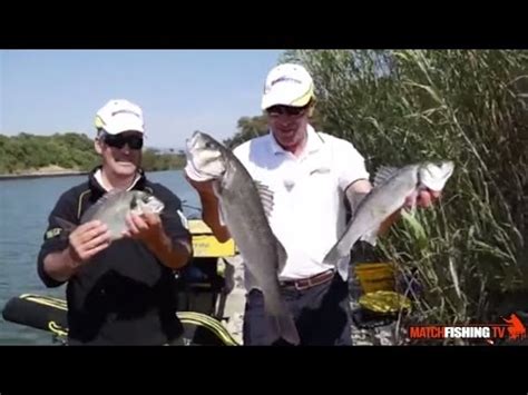 Come Pescare Orate E Spigole A Feeder Fishing Youtube