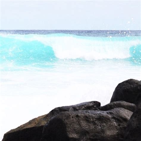 Dash Of Darling Last Time I Went Surfing I Lost My Bikini Bottoms