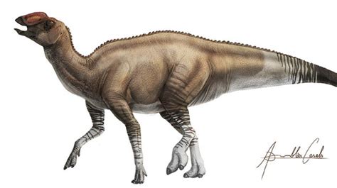 Identifican Una Extraña Nueva Especie De Dinosaurio ‘pico De Pato