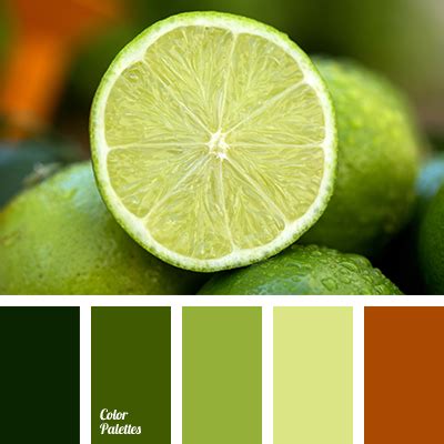 Brown Color Palettes | Color Palette Ideas