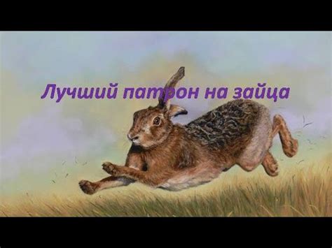 Патроны для охоты на Зайца. Снаряжаем качественно! - YouTube