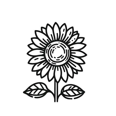 suncokret  bojanje coloringlib