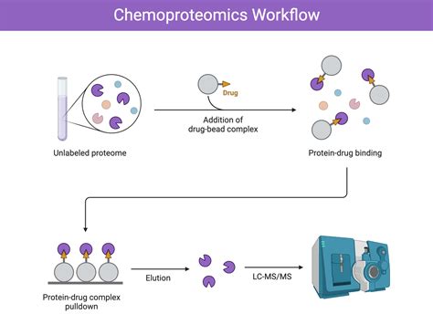 Chemoproteomics Workflow Biorender Science Templates