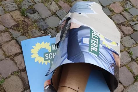 20 Prozent aller Grünen Plakate zerstört Lambsheim RHEINPFALZ