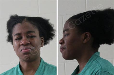 Bria Kendrick Houston County Jail Bookings