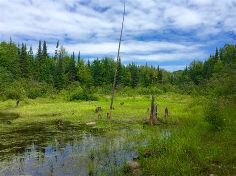 Grass Nature Non Urban Scene Remote Scenic Tree K North Sky