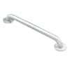 MOEN Home Care 32 In X 1 1 4 In Concealed Screw Grab Bar With