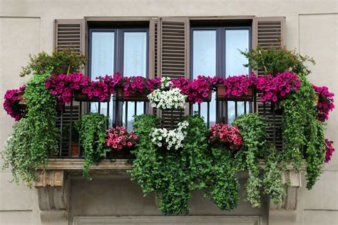 C Mo Hacer Un Jard N En La Terraza O Balc N Balcony Flower Box