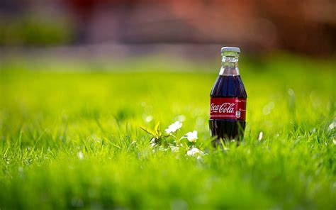 Hd Wallpaper Coca Cola Bottle Drink Grass Nature Wallpaper Flare