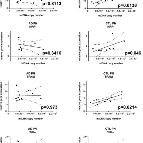 Mitochondrial Dna Copy Numbers In Genomic Dna Isolated From Groups Of