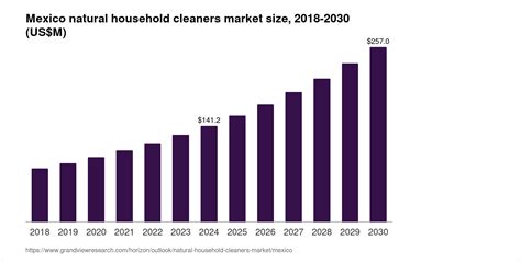 Mexico Natural Household Cleaners Market Size And Outlook 2030