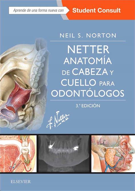 Netter Anatomía De Cabeza Y Cuello Para Odontólogos En Laleo