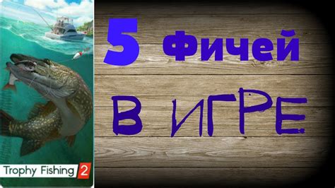 Трофейная рыбалка 2 ПОЛЕЗНЫЕ ФИЧИ - YouTube
