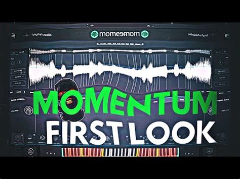 Big Fish Audio Momentum Sampler First Look And Review Youtube