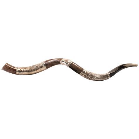 Silver And Gold Embellished Yemenite Shofar Jerusalem Holyland