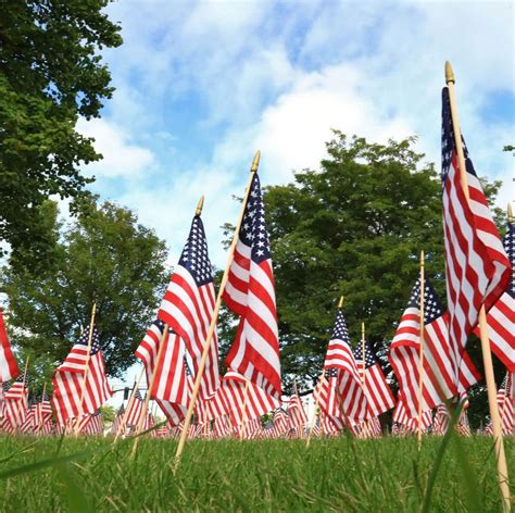 Things To Do Veterans Day Weekend Near Me